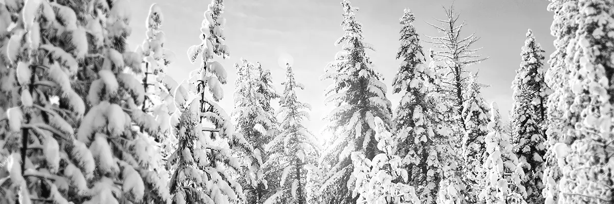 Ski rental in Andorra: discover our offers in Pas de la Casa and Canillo for a perfect day in the mountains.